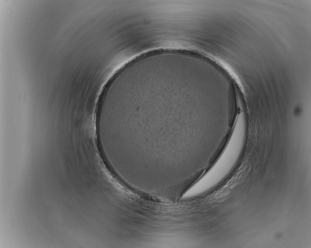 X0000095530935200712211322