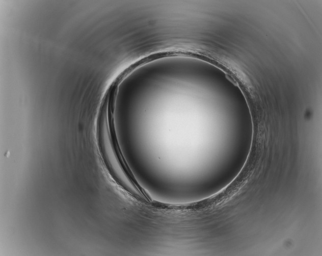 X0000095530936200712211322