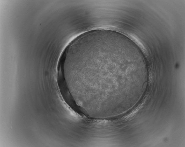 X0000095530940200712211322