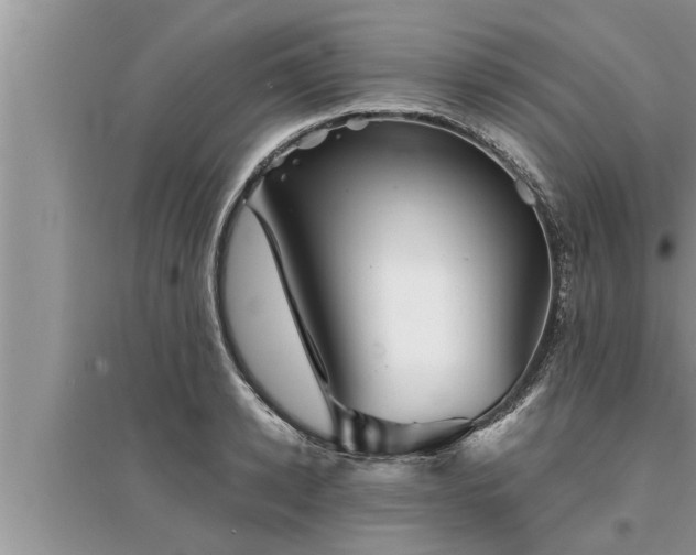 X0000095530942200712211322