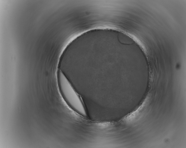 X0000095530943200712211322
