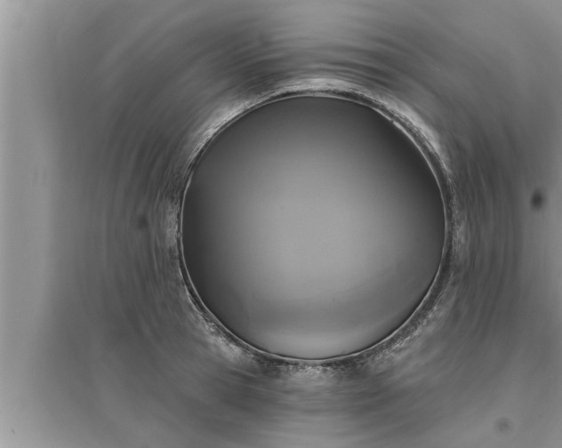 X0000095530945200712211322