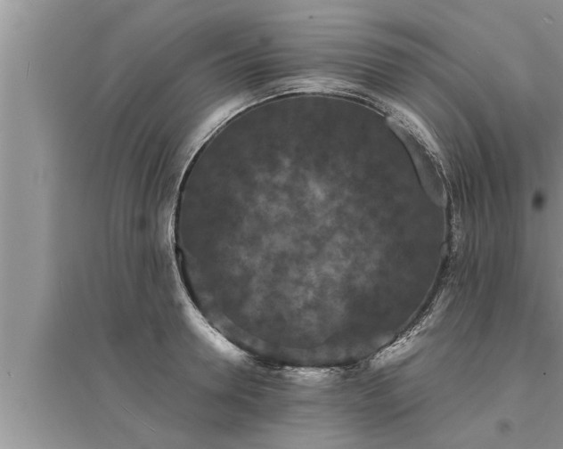 X0000095530946200712211322
