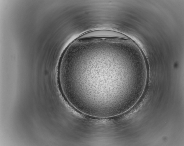 X0000095530949200712211322
