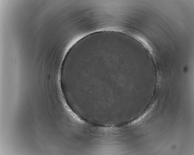 X0000095530952200712211322