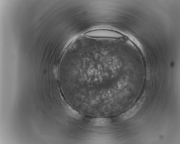 X0000095530953200712211322