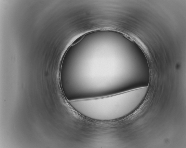 X0000095530956200712211322