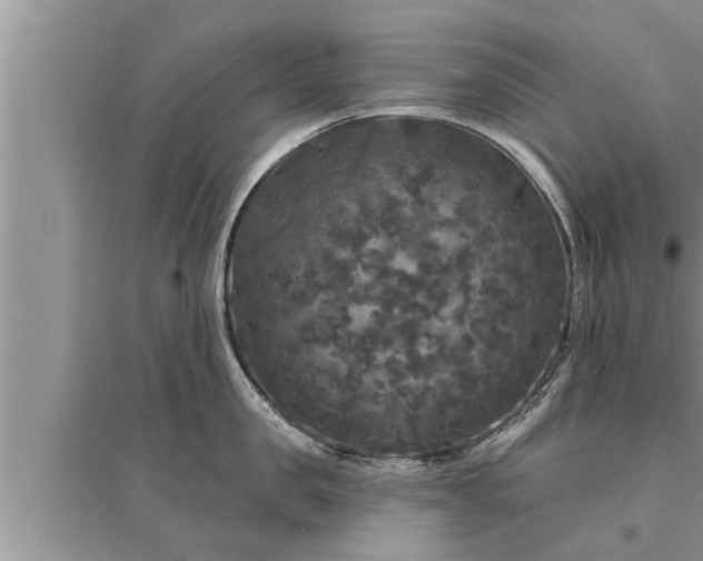 X0000095530957200712211322