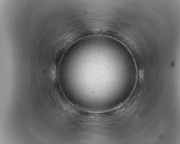 X0000095530963200712211322