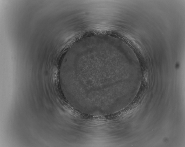 X0000095530964200712211322