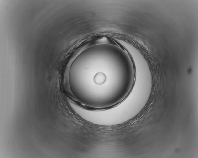 X0000095530965200712211322