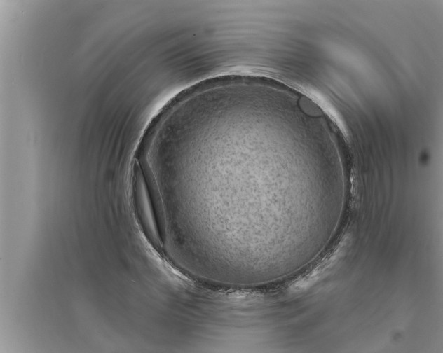 X0000095530972200712211321