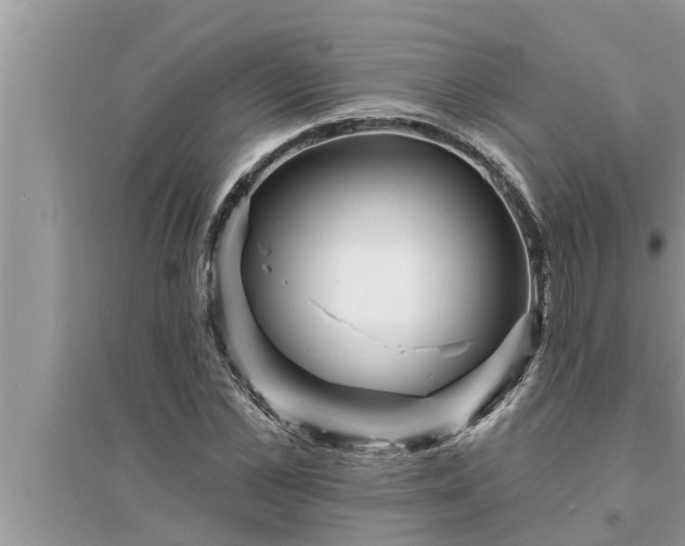 X0000095530973200712211321