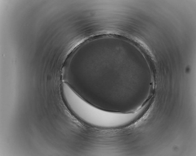 X0000095530977200712211321