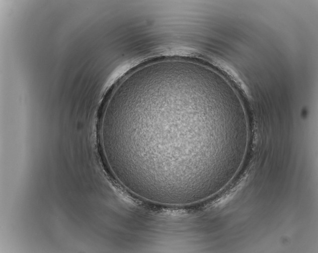 X0000095530978200712211321