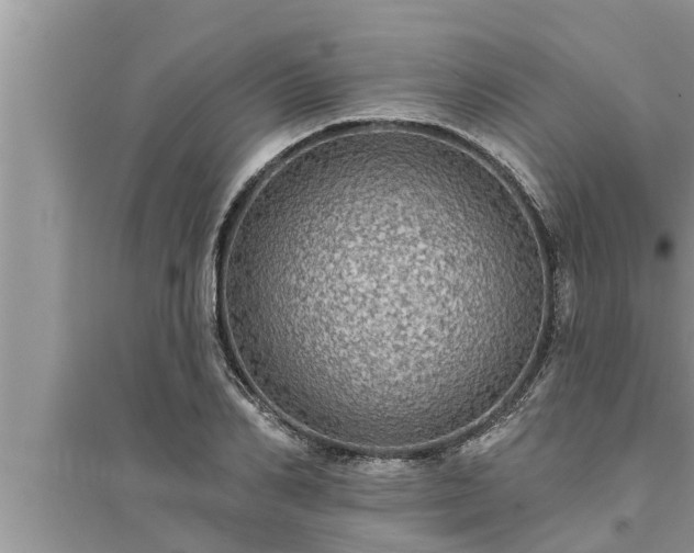 X0000095530982200712211321