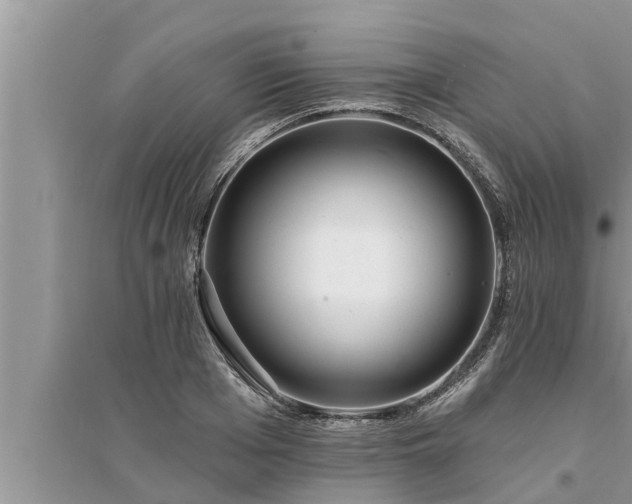 X0000095530985200712211321