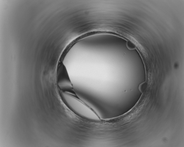 X0000095530988200712211321