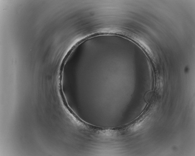 X0000095530992200712211321