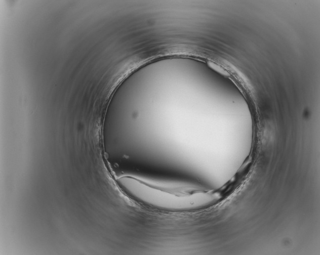 X0000095530993200712211321