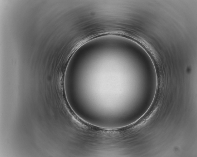 X0000095531001200712211321