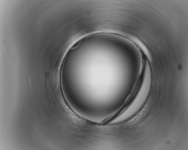 X0000095531004200712211321