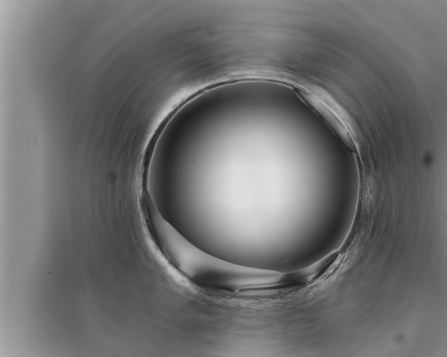 X0000095531005200712211321