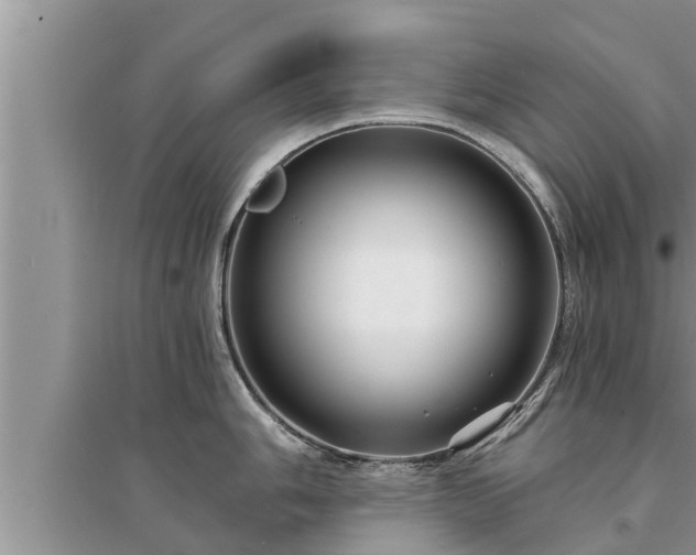 X0000095531006200712211321