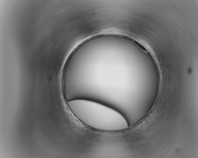 X0000095531008200712211321