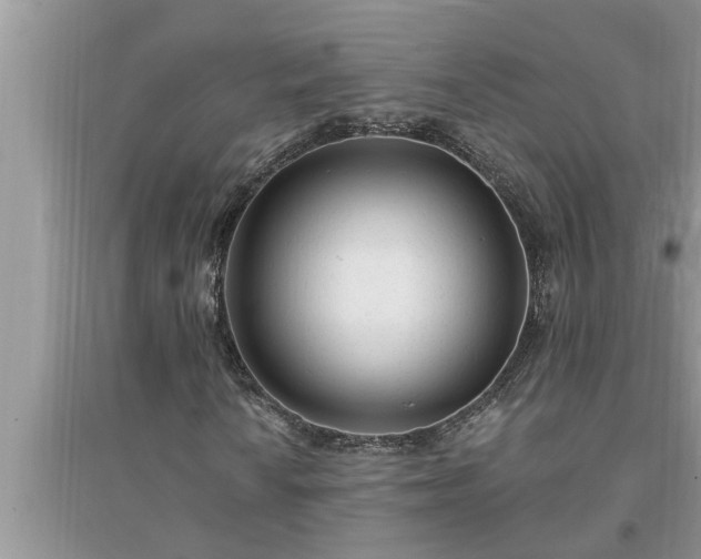 X0000095531010200712211320