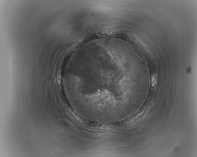X0000095531011200712211320
