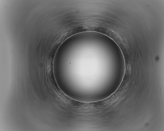 X0000095531012200712211320