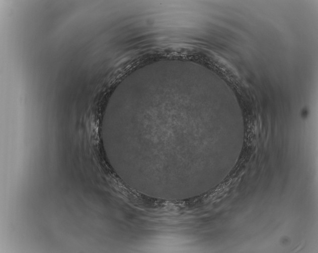 X0000095531013200712211320