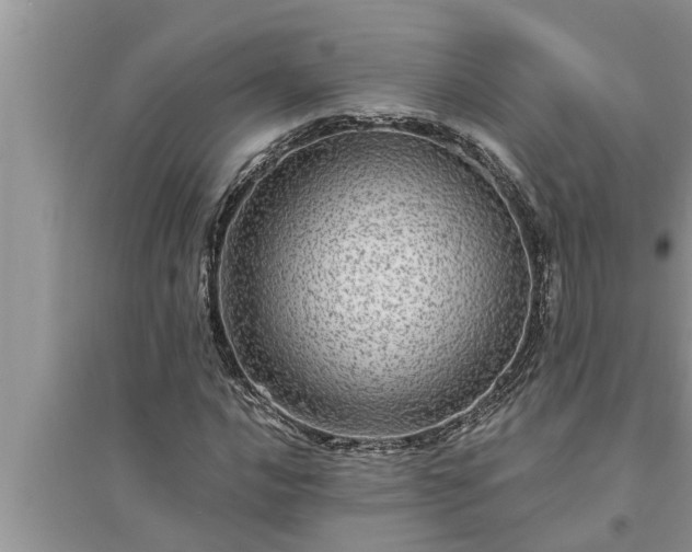 X0000095531016200712211320