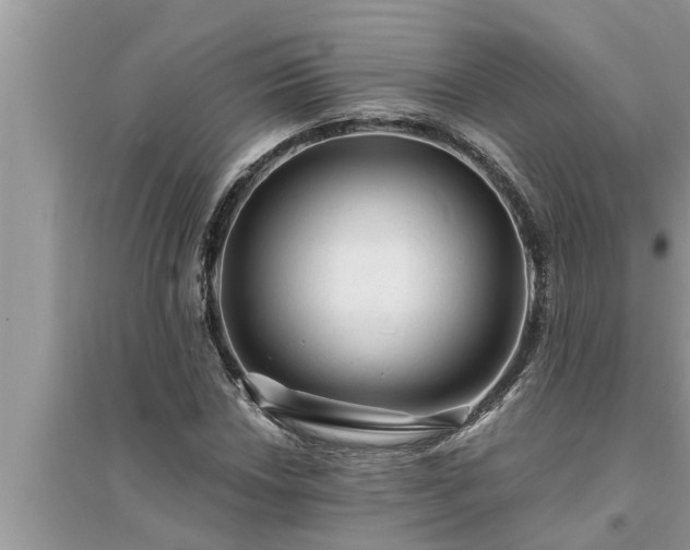 X0000095531018200712211320