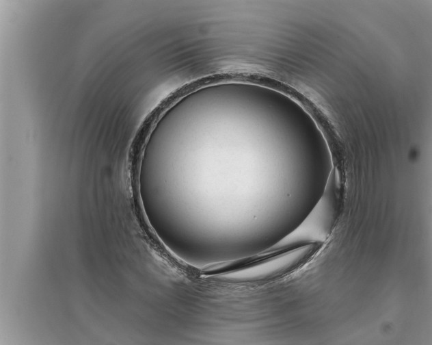 X0000095531022200712211320