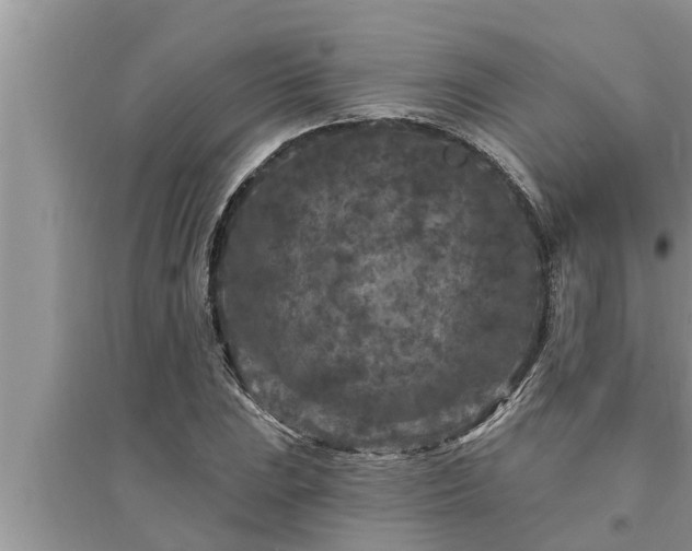 X0000095531023200712211320