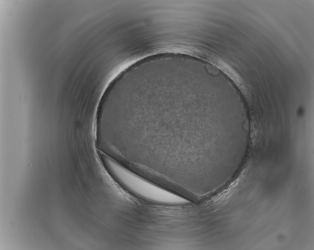 X0000095531028200712211320