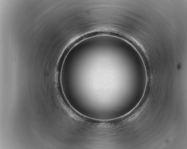 X0000095531029200712211320