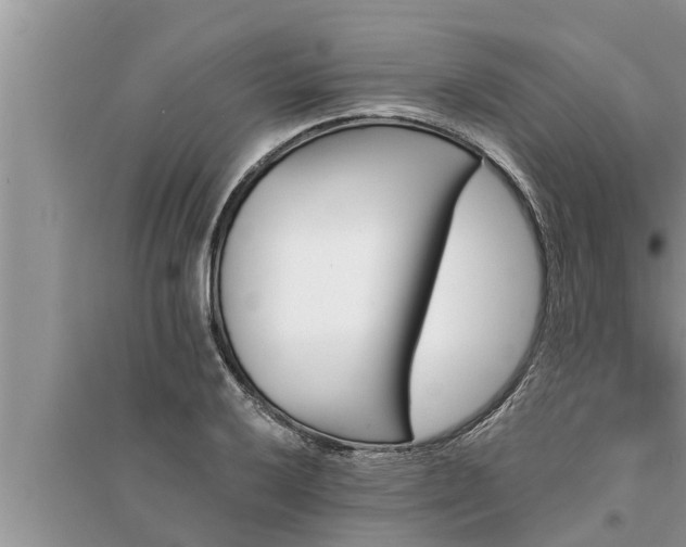 X0000095531032200712211320