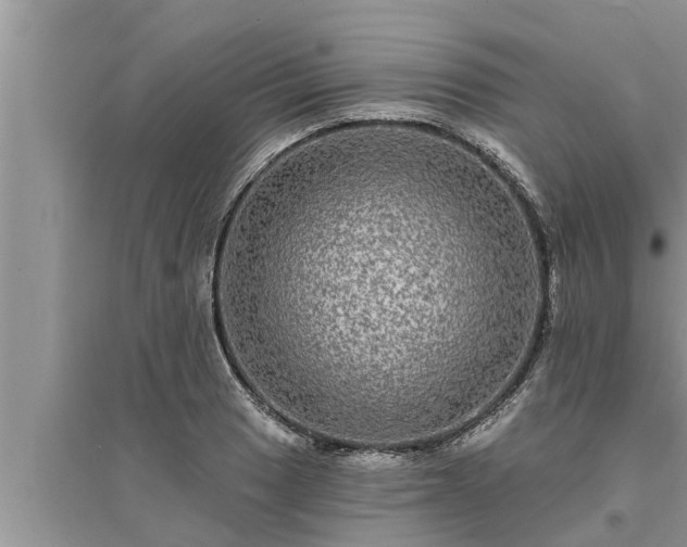 X0000095531033200712211320