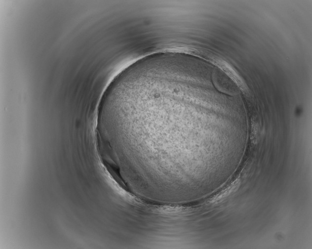 X0000095531036200712211321