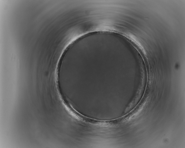 X0000095531037200712211321