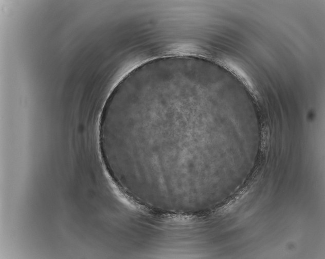 X0000095531039200712211321