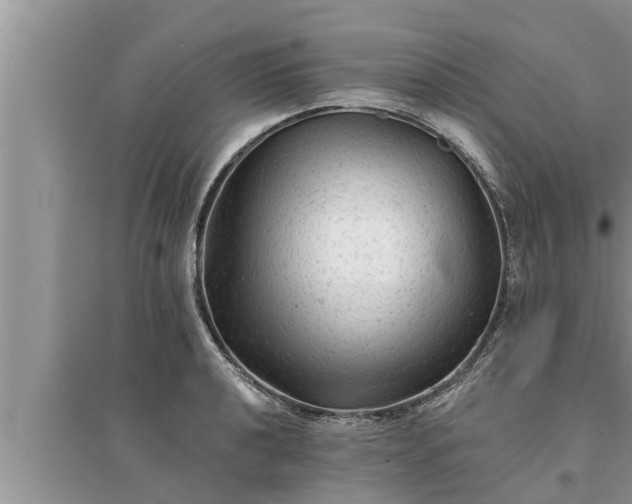 X0000095531040200712211321