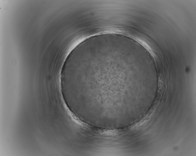 X0000095531047200712211321