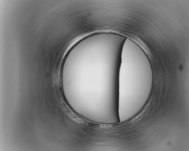 X0000095531052200712211321