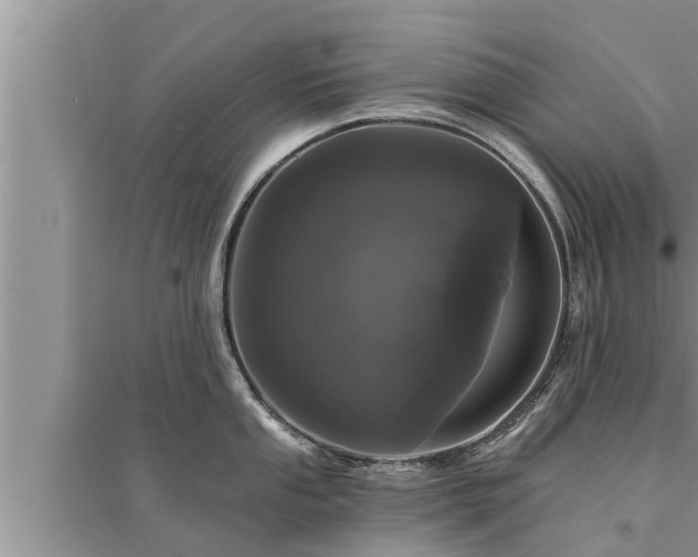 X0000095531053200712211321