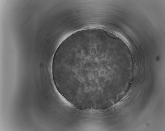 X0000095531055200712211321