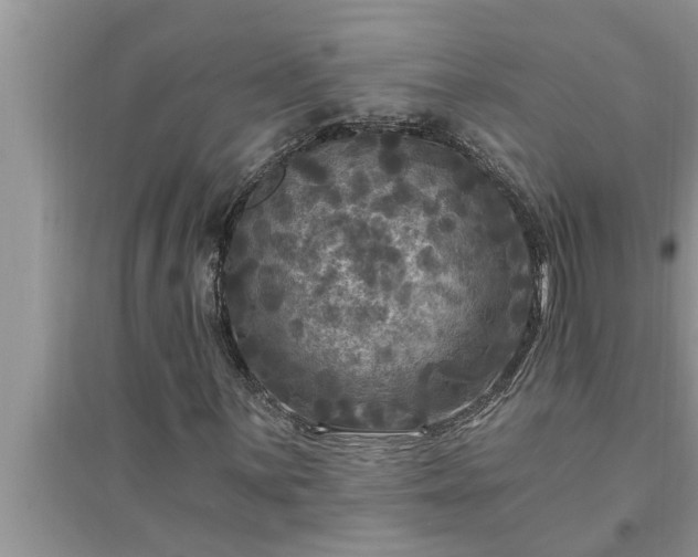 X0000095531059200712211320